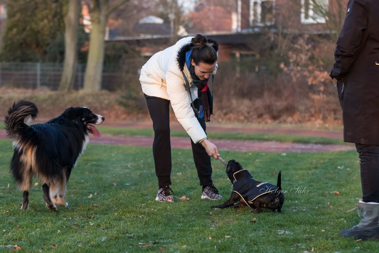 Bild 56 - Hundeshooting